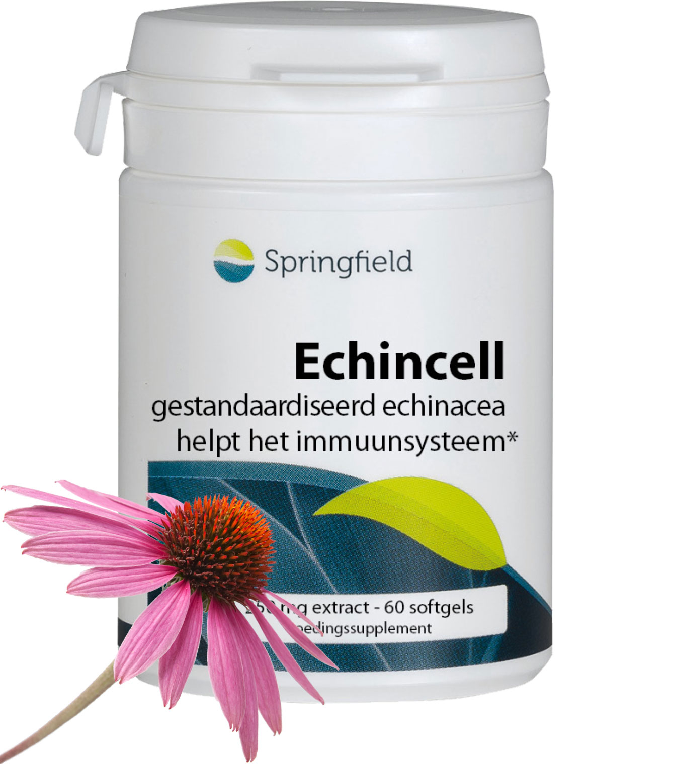 Echincell (105 mg) - 60 softgels °