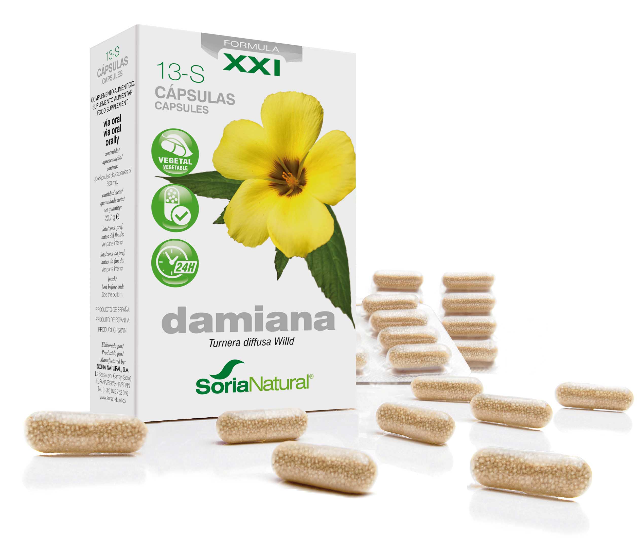 Damiana XXI 13-S : damiaan - 300 mg°°