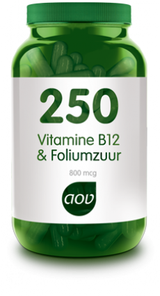 Vitamine B12 & Foliumzuur - 60 VegCaps - 250