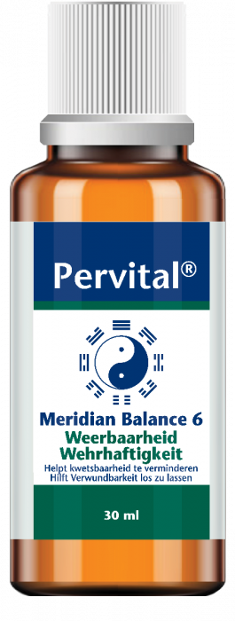 Meridian Balance 6 - Weerbaarheid - 30 ml °
