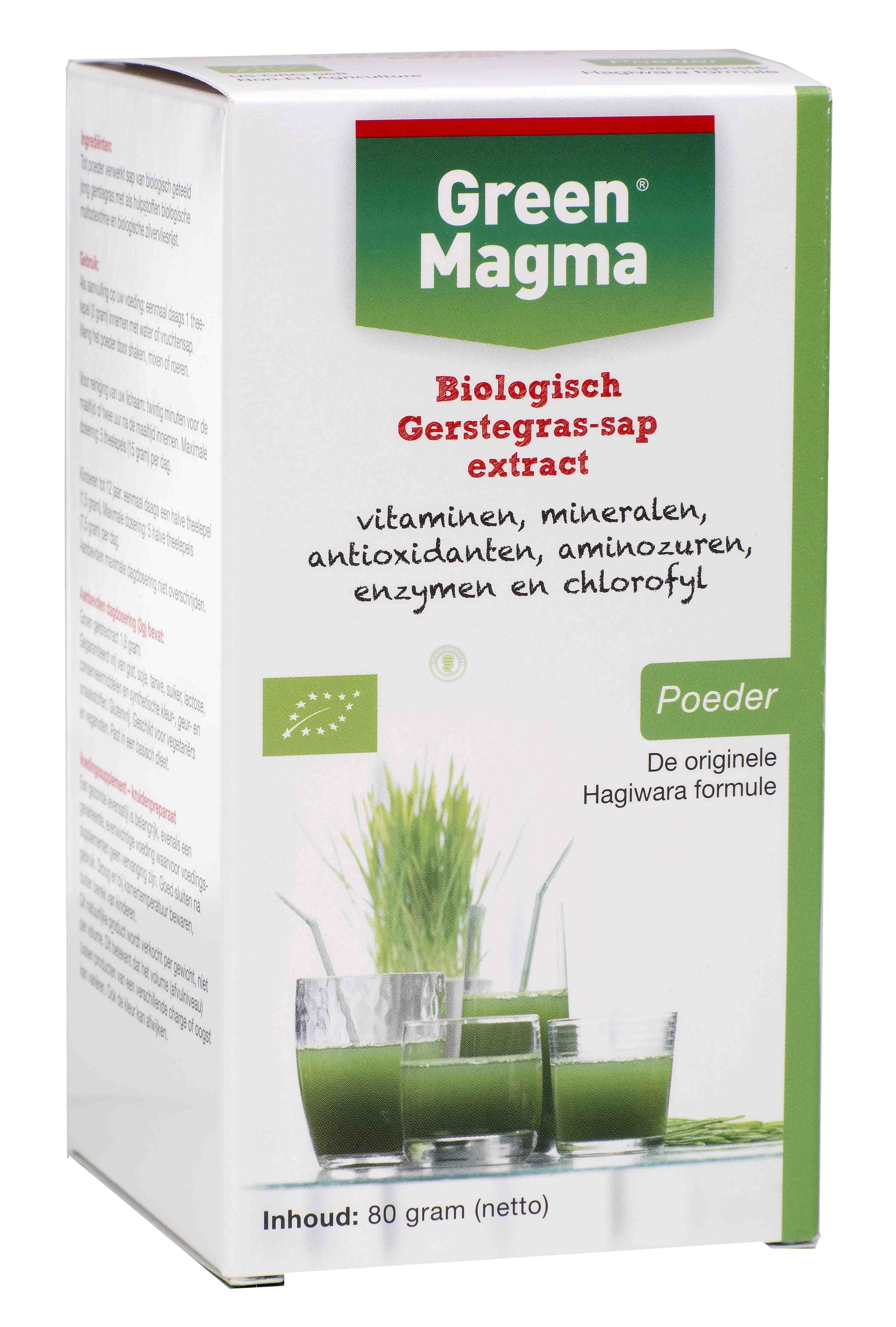 Green Magma Instant Poeder - 80 gr