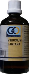 GO Viburnum Lantana (Wollige sneeuwbal) - 100ml